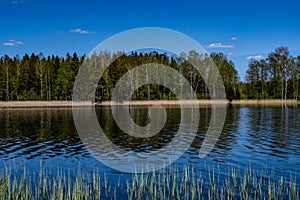 Panoramic view of idyllic summer landscape with lake