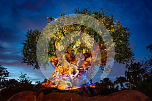 Panoramic view of Illuminated Tree of Life on blue night background at  Animal Kingdom.