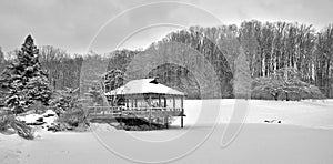 Panoramic view of Japanese Pagoda in the snow