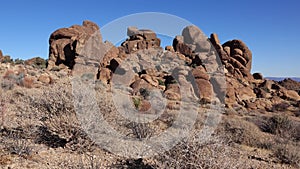 A panoramic view in Joshua Tree National Park. Joshua Tree Yucca brevifolia and Rock Formations. CA
