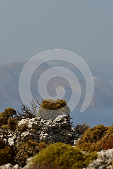 Panoramic view from Kalymnos Island Greece Europe