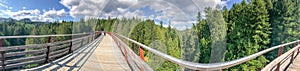 Panoramic view of Kinsol Trestle wooden bridge in Vancouver Island, Canada