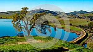 Lagoon Valley Park lake overview from hill photo