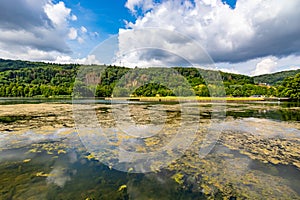 Panoramic view of Lake Echternach, algae and reflections on water surface