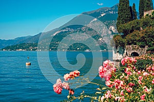 Panoramic view of the lake and European Alps from the botanical garden on the shore of Lake Como.