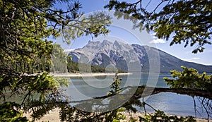 Panoramic view of Lake Minnewanka framed by trees in Banff National Park, Alberta, Canada