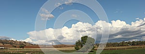 Panoramic view of large open dry drought affected farm fields under stretching cloud filled blue skies and a lone tree in rural