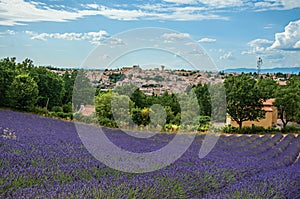 Panoramic view of lavender fields and the town of Valensole.