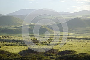 Panoramic view of Lewa Wildlife Conservancy after much rain in North Kenya, Africa