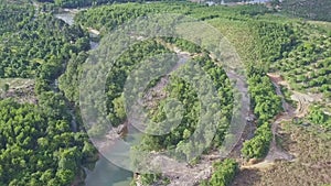 Panoramic View Long River against Pictorial Tropical Nature