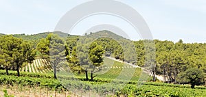 Panoramic view of the low mountains Chaine of Alpilles in Provence