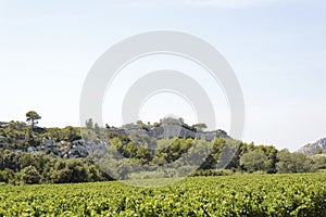 Panoramic view of the low mountains Chaine of Alpilles in Provence