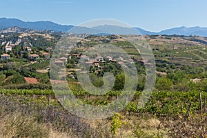Panoramic view of Lozenitsa Village and Vine plantations near Melnik town, Bulgaria