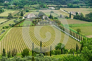 Panoramic view on Luberon valley in France photo