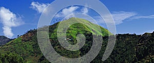 panoramic view of lush green palani mountain range from kodaikanal hill station in tamilnadu, india