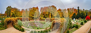 Panoramic view of magical deciduous forest and garden in the city park of Potsdam, Germany, in golden Autumn colors