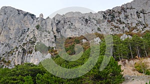 Panoramic view of majestic mountains and pine forest.