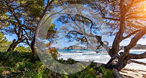 Panoramic view of mallorca coastline on a sunny summer day