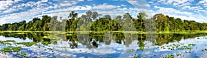 Panoramic view on the MaraÃ±on River in the Pacaya Samiria Reserve in Peru, near Iquitos. The river of mirrors