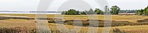 Panoramic view of marsh