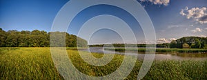 Panoramic view of marshland landscape in Ontario`s Royal Botanic photo