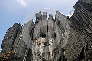 Panoramic view of massive and unusual karst rock outcrop known as Bhairaveshwara Shikhara located in Yana  Karnataka  India photo