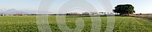 panoramic view of the meadow in luni