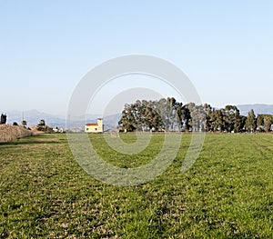 panoramic view of the meadow in luni