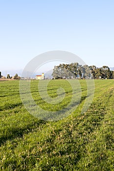 panoramic view of the meadow in luni