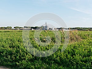 panoramic view of the meadow in luni