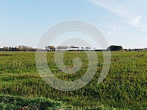 panoramic view of the meadow in luni