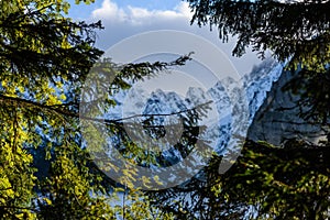Panoramatický výhľad na hmlistý les v horskej oblasti s horami h