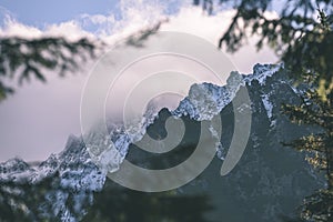 Panoramic view of misty forest in mountain area with mountains h