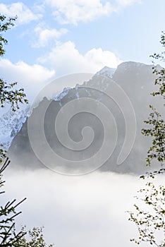 Panoramic view of misty forest in mountain area