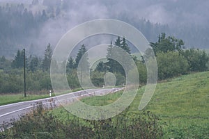 Panoramic view of misty forest in mountain area - vintage effect