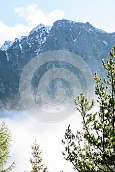 Panoramatický výhľad na hmlistý les v horskej oblasti s horami h