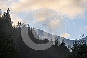 Panoramic view of misty forest in mountain area with mountains h