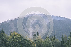 Panoramic view of misty forest in mountain area with mountains h