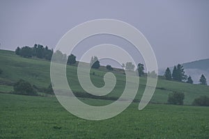 Panoramic view of misty forest in mountain area - vintage effect