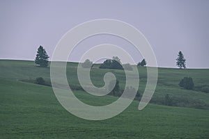 Panoramic view of misty forest in mountain area - vintage effect