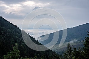 Panoramatický pohľad na hmlistý les v západných Karpatoch.