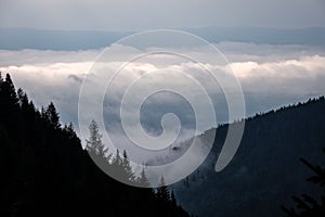 Panoramatický pohled na mlžný les v západních Karpatech.