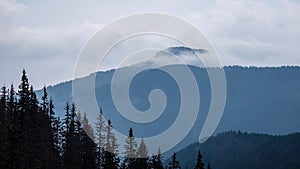 Panoramic view of misty forest in western carpathian mountains.