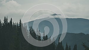 Panoramic view of misty forest in western carpathian mountains.