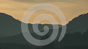 Panoramic view of misty forest in western carpathian mountains.