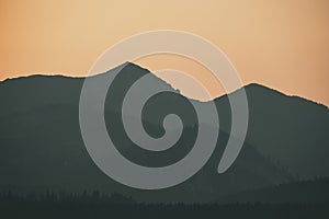 Panoramic view of misty forest in western carpathian mountains.