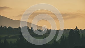 panoramic view of misty forest in western carpathian mountains.