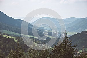 Panoramic view of misty forest in western carpathian mountains.