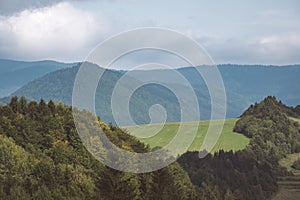 Panoramic view of misty forest in western carpathian mountains.