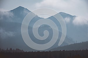 Panoramic view of misty forest in western carpathian mountains.